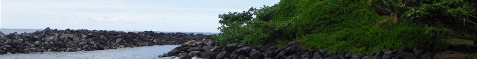 faq section header 2